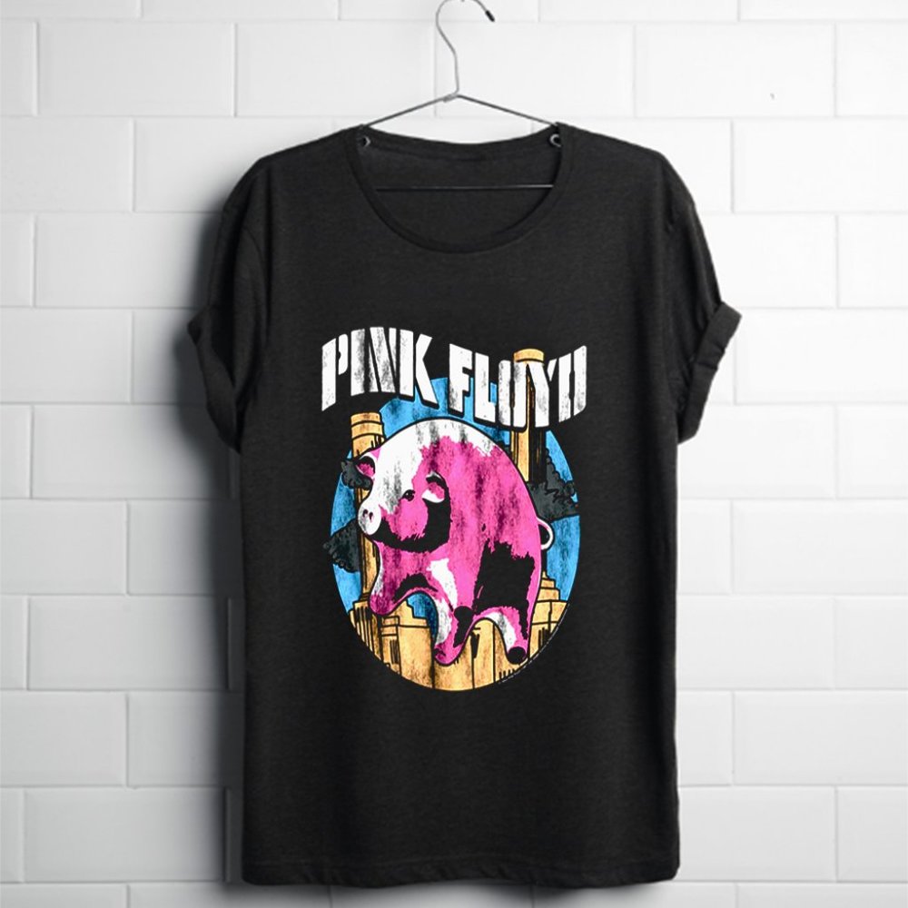 Pink Floyd - bucher amis  pink floyd in stuff best selling569 Pink Floyd